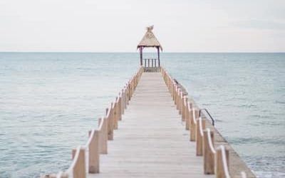 Retourner Chez Soi Après Avoir Vécu À l’Étranger